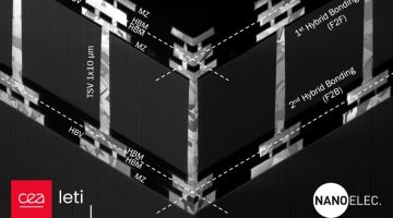 3D_xsection_manuscript_219_final